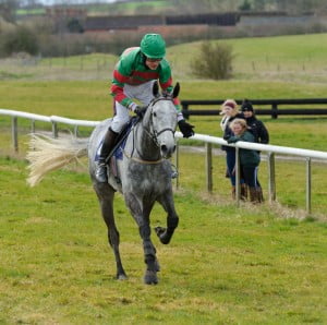 Gonalston Cloud, ridden by Tom Strawson