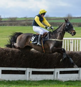 Gunmoney and John Russell on their way to victory in the Mixed Open