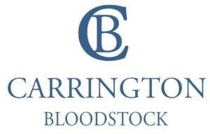 Carrington Bloodstock