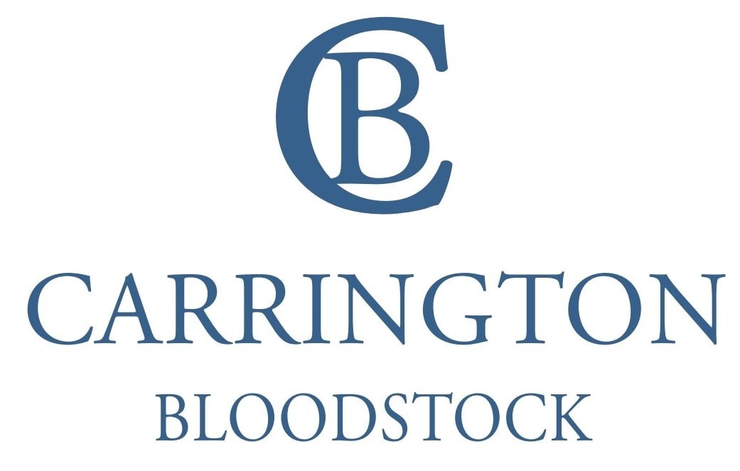 Carrington Bloodstock